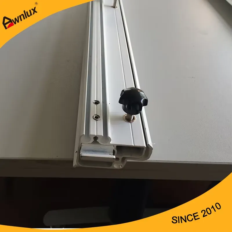 Car Awning Tent Caravan Access - Car Accessories 评论和价格